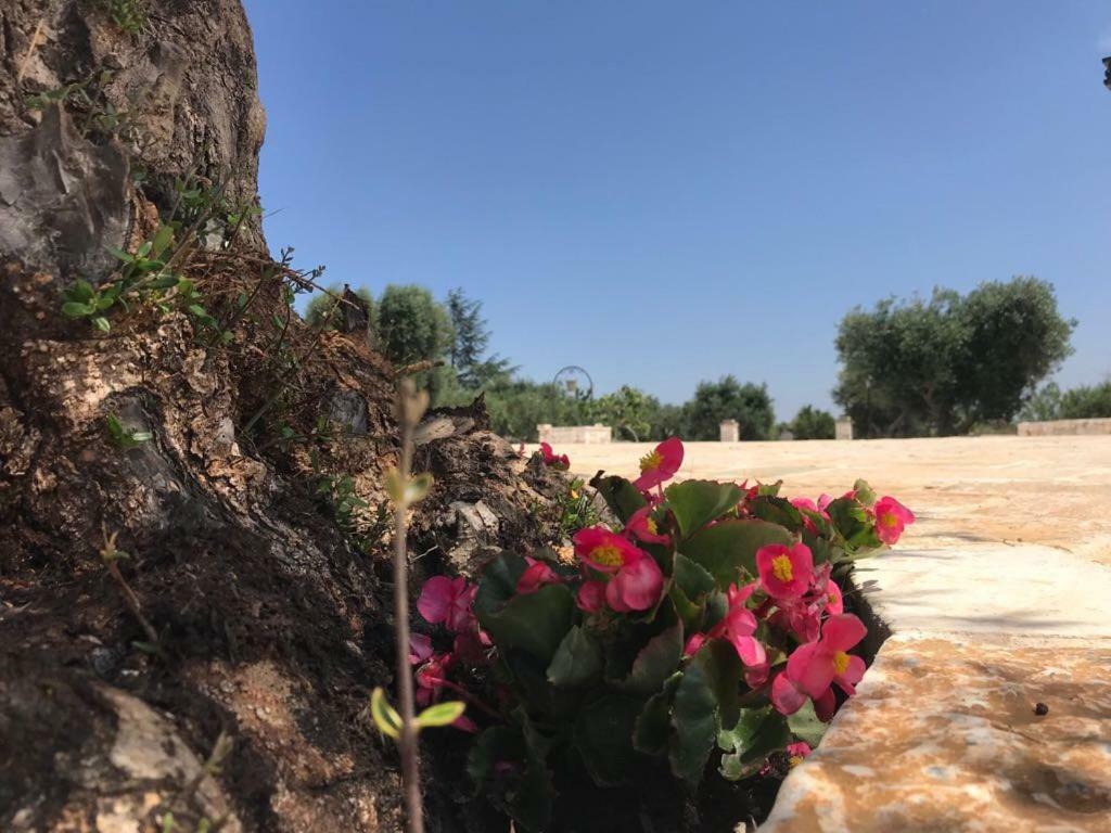 אוסטוני Trulli Da Lalli מראה חיצוני תמונה